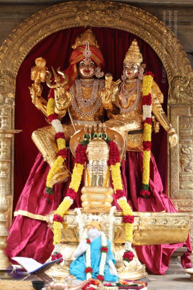 20100616_Photo_1002_IMG_7133_CMP_WM