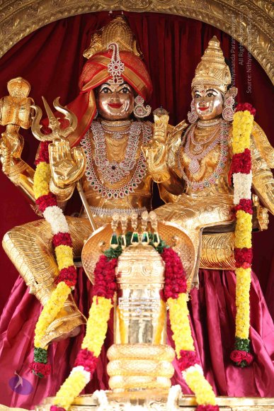 20100616_Photo_1010_IMG_7136_CMP_WM