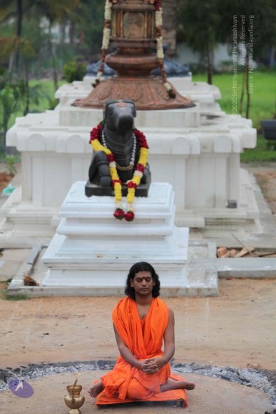 20100616_Photo_1007_IMG_7207_CMP_WM