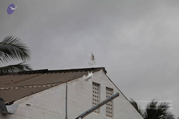 20100616_Photo_1025_IMG_7198_CMP_WM