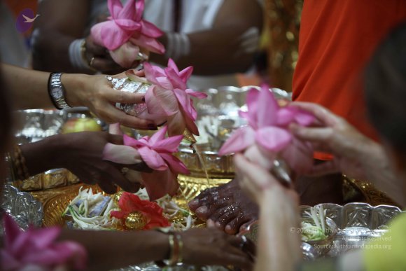 20101119_Photo_1075_IMG_8896_CMP_WM