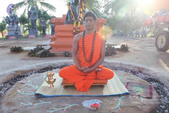 20101119_Photo_1135_IMG_8830_CMP_WM