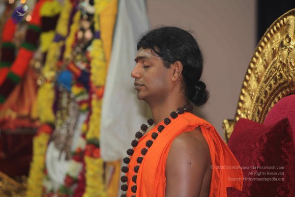 20101119_Photo_1170_IMG_8883_CMP_WM