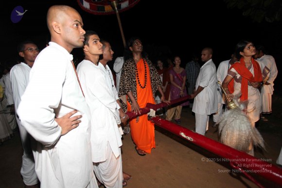 20101119_Photo_1285_IMG_8450_CMP_WM