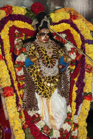 1-MORNING-SATSANG_Photo_1018_IMG_8936_CMP_WM