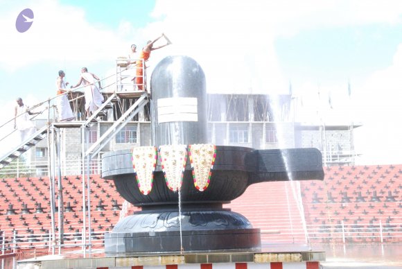 20101121_Photo_1002_DSC_9241_CMP_WM