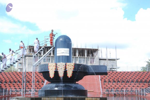 20101121_Photo_1003_DSC_9214_CMP_WM