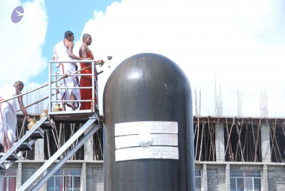 20101121_Photo_1008_DSC_9193_CMP_WM