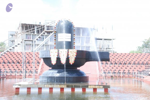 20101121_Photo_1018_DSC_9258_CMP_WM