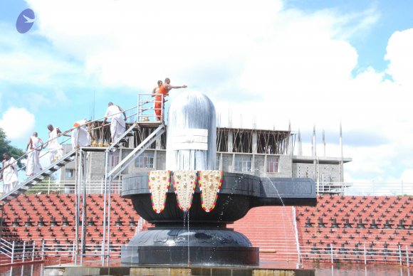 20101121_Photo_1026_DSC_9221_CMP_WM