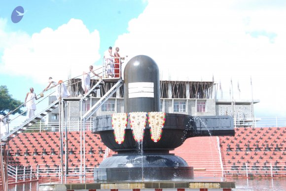 20101121_Photo_1036_DSC_9191_CMP_WM