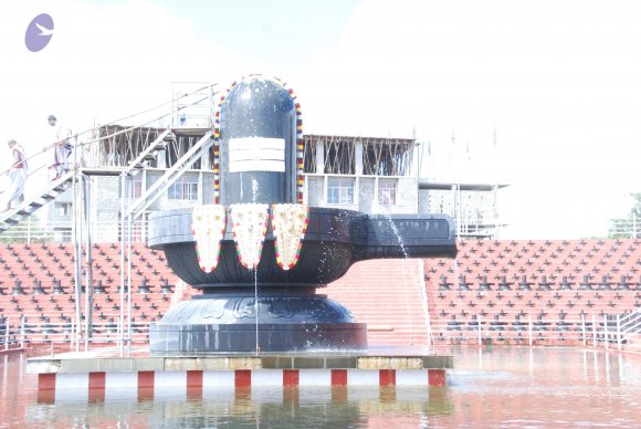 20101121_Photo_1044_DSC_9257_CMP_WM