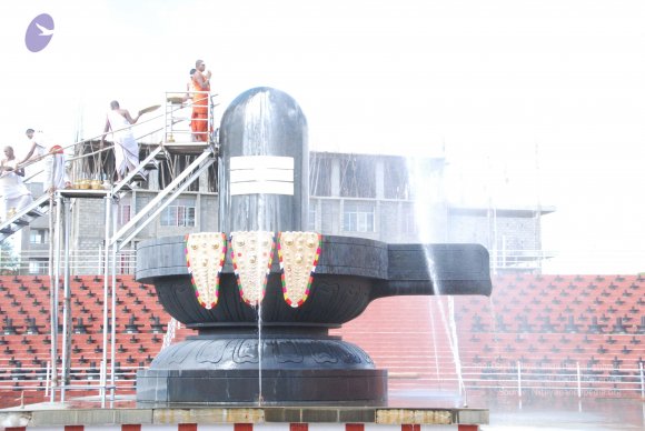 20101121_Photo_1067_DSC_9240_CMP_WM