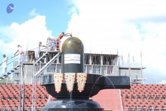 20101121_Photo_1080_DSC_9195_CMP_WM