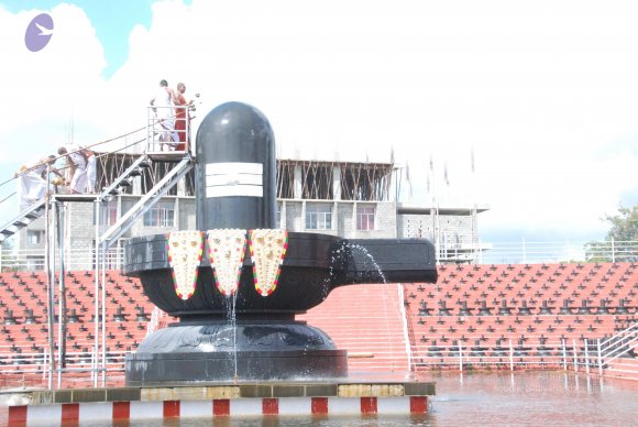 20101121_Photo_1081_DSC_9184_CMP_WM