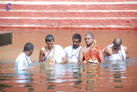 20101121_Photo_1092_DSC_9269_CMP_WM