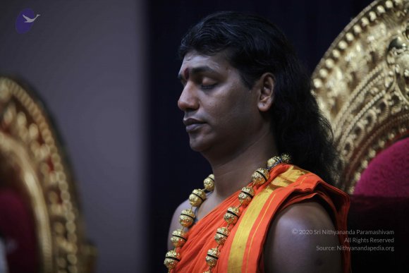 20101121_Photo_1007_IMG_0357_CMP_WM