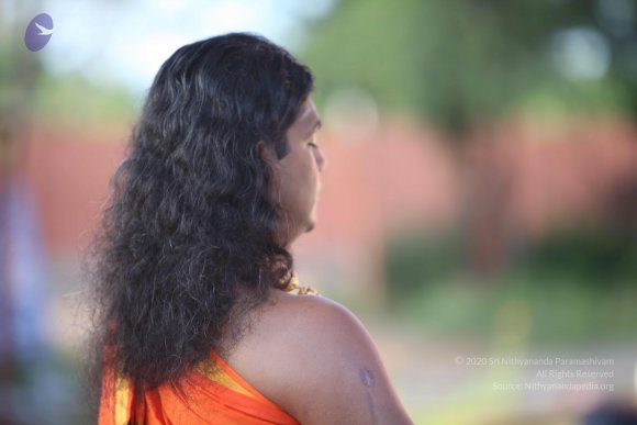 20101121_Photo_1011_IMG_0243_CMP_WM