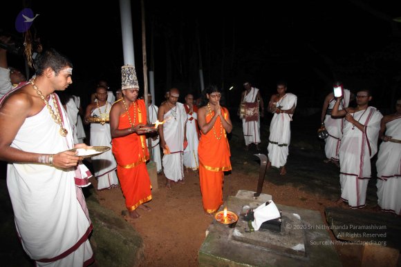 20101121_Photo_1020_IMG_0015_CMP_WM