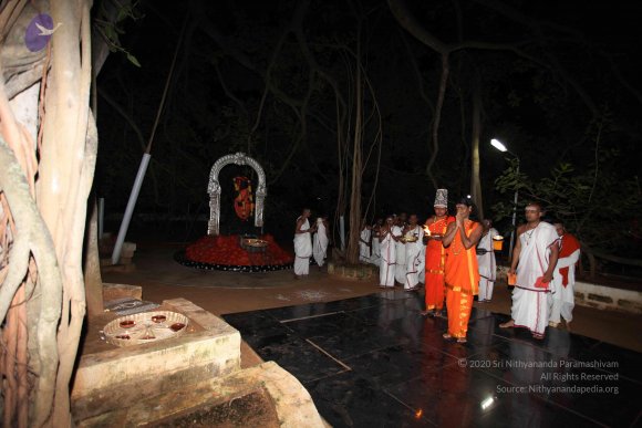 20101121_Photo_1035_IMG_0018_CMP_WM