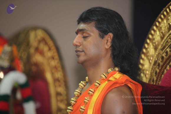 20101121_Photo_1037_IMG_0346_CMP_WM