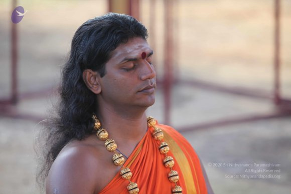 20101121_Photo_1040_IMG_0207_CMP_WM