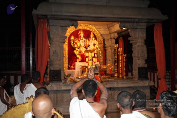 20101121_Photo_1042_IMG_0159_CMP_WM