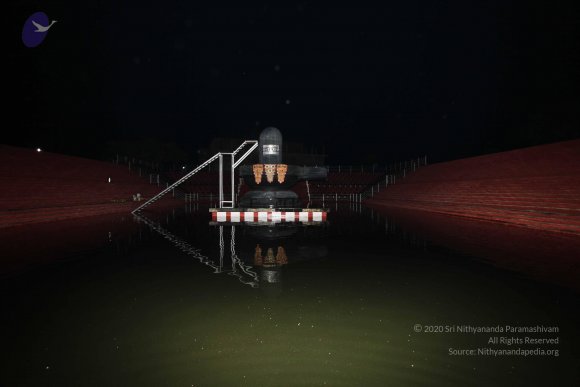 20101121_Photo_1045_IMG_0085_CMP_WM