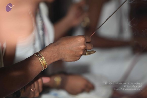 20101121_Photo_1048_IMG_0397_CMP_WM