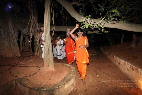 20101121_Photo_1050_IMG_0001_CMP_WM