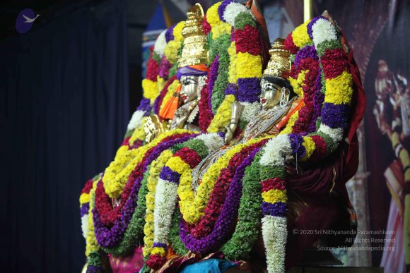 20101121_Photo_1062_IMG_0374_CMP_WM