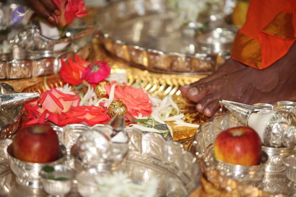 20101121_Photo_1077_IMG_0352_CMP_WM