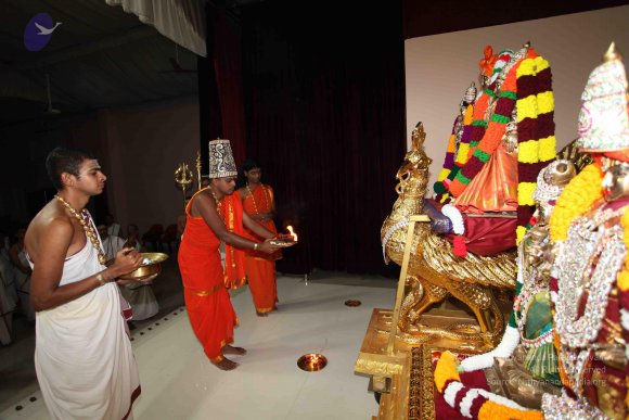 20101121_Photo_1079_IMG_0118_CMP_WM