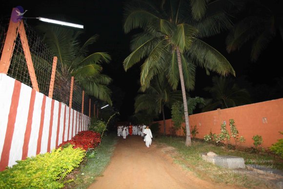 20101121_Photo_1085_IMG_0151_CMP_WM