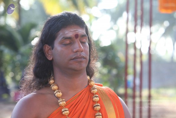 20101121_Photo_1092_IMG_0292_CMP_WM