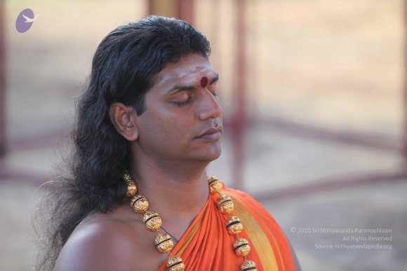 20101121_Photo_1097_IMG_0208_CMP_WM