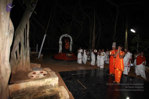 20101121_Photo_1102_IMG_0017_CMP_WM