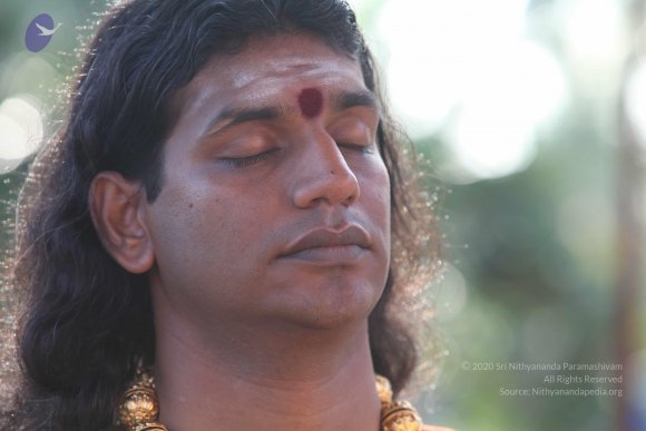 20101121_Photo_1107_IMG_0289_CMP_WM