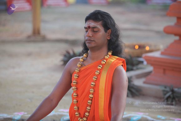 20101121_Photo_1114_IMG_0214_CMP_WM