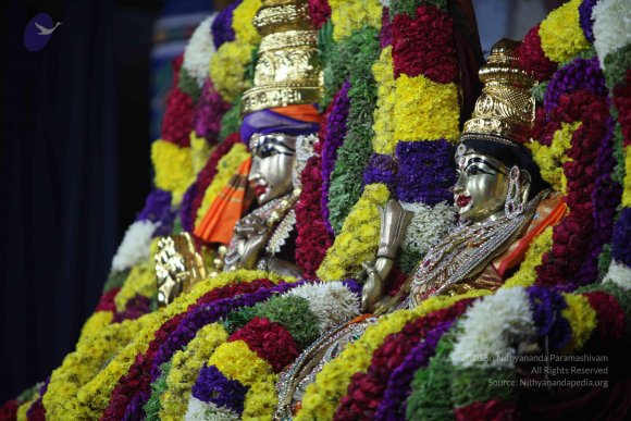 20101121_Photo_1124_IMG_0373_CMP_WM