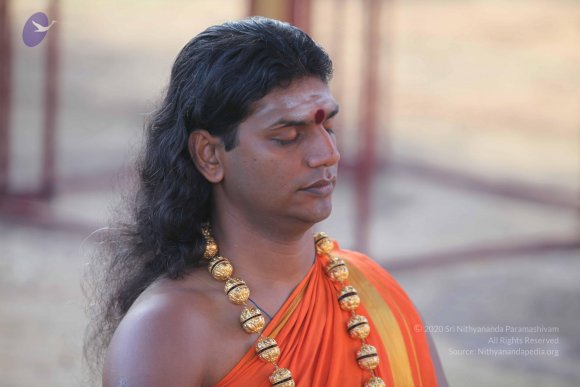 20101121_Photo_1129_IMG_0205_CMP_WM