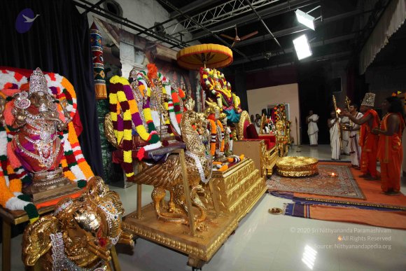 20101121_Photo_1140_IMG_0112_CMP_WM