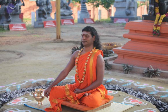 20101121_Photo_1146_IMG_0219_CMP_WM