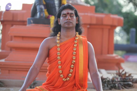 20101121_Photo_1149_IMG_0196_CMP_WM