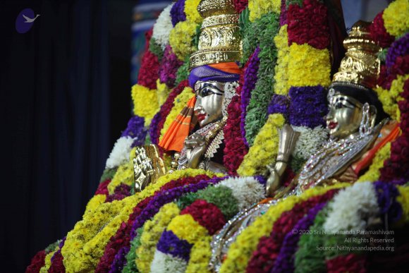 20101121_Photo_1153_IMG_0376_CMP_WM