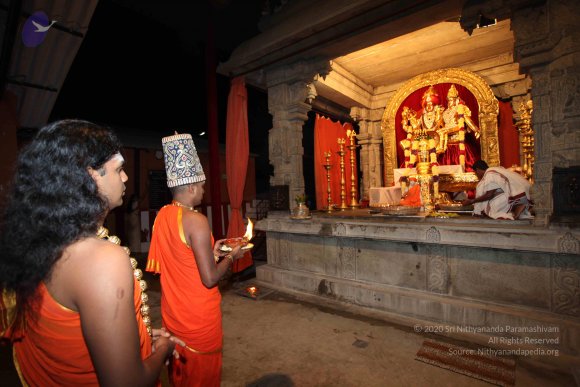 20101121_Photo_1154_IMG_0028_CMP_WM