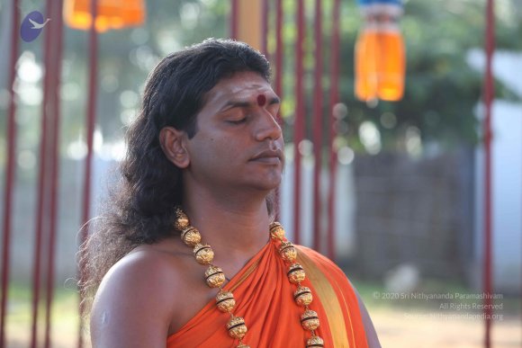 20101121_Photo_1155_IMG_0262_CMP_WM