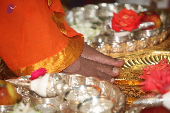 20101121_Photo_1169_IMG_0319_CMP_WM