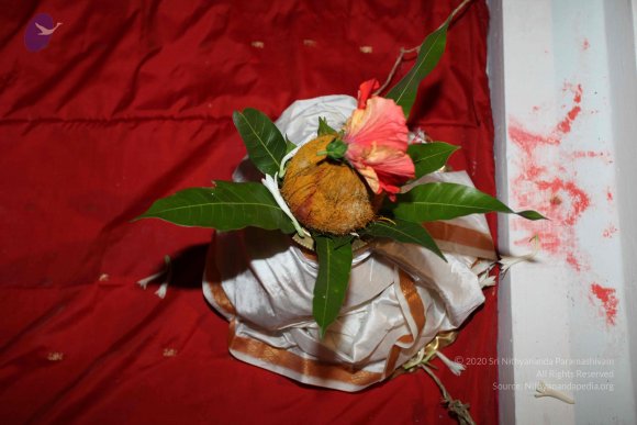 20101121_Photo_1173_IMG_0131_CMP_WM