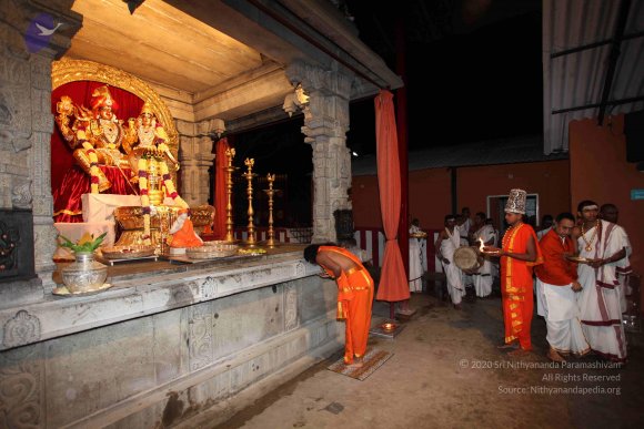 20101121_Photo_1176_IMG_0025_CMP_WM